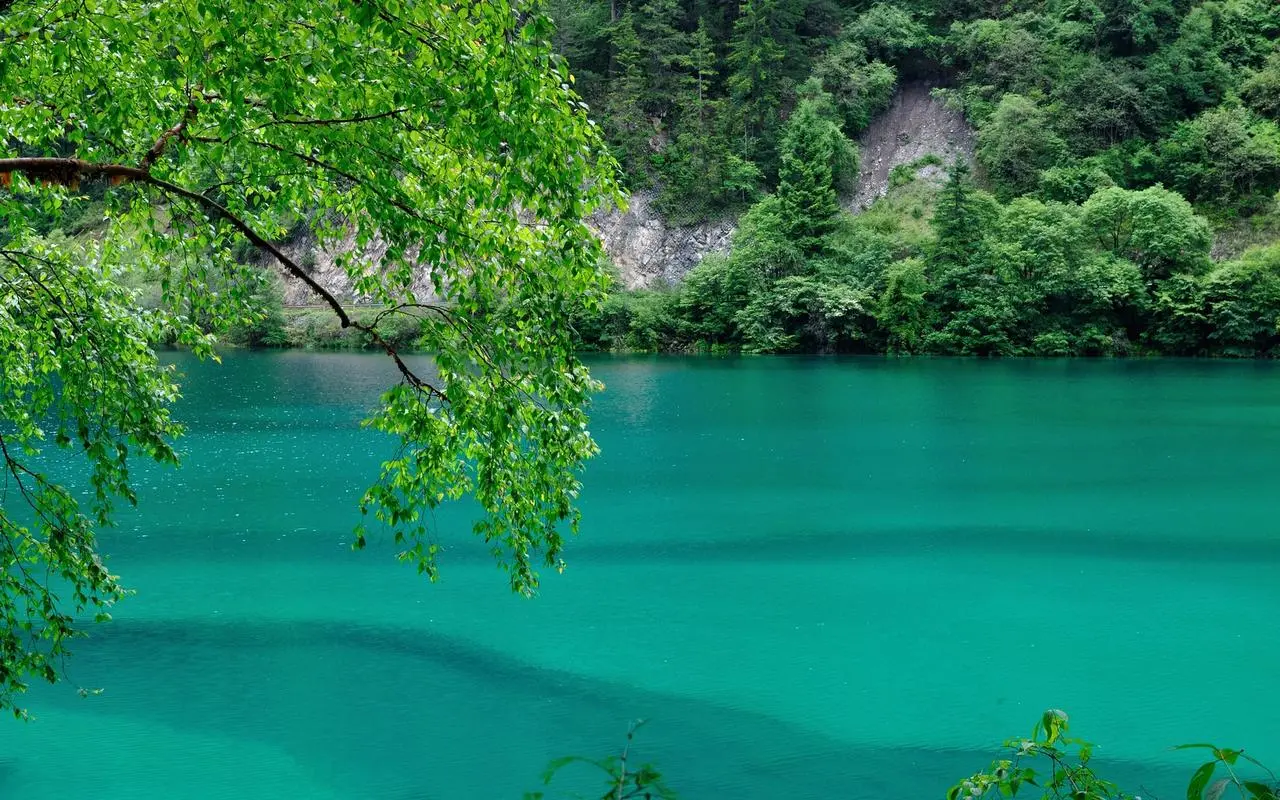 高效高端智能